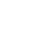 Orchard Corset